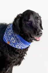 The Foggy Dog Knit Bandana