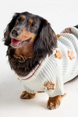 Seasonal 3D Motif Pet Sweater