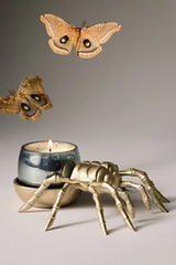 Catherine Martin Midnight Creatures Palo Santo & Saffron Spider Candle