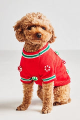 Seasonal 3D Motif Pet Sweater