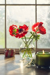 Festive Holiday Word-Play Glass Vase