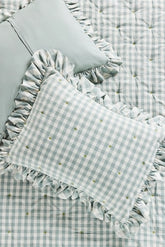 Gingham Ruffle Yarn-Dyed Cotton Shams, Set of 2