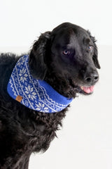 The Foggy Dog Knit Bandana