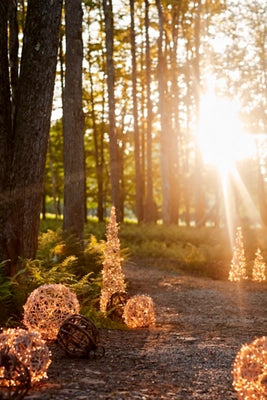 Stargazer Nature Effects Illuminated Vine Sphere