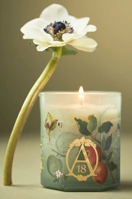 Apothecary 18 Spice Orchard Woods Boxed Glass Candle