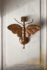 Moth Brass Door Knocker