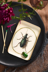 Printed Archival Tray, Extra Small