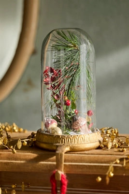 Glass Cloche Stocking Holder