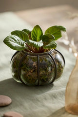 Iron + Glass Bubble Vessel