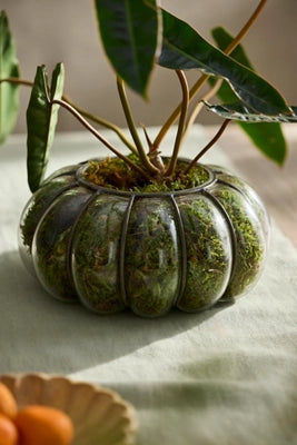 Iron + Glass Bubble Vessel