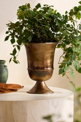 Flared Bronze Urn Planter