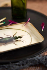 Printed Archival Tray, Extra Small