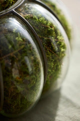 Iron + Glass Bubble Vessel