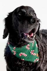 The Foggy Dog Knit Bandana