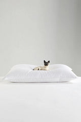 Sateen Down Pillow Insert