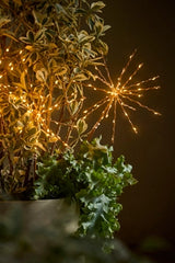 Stargazer Twinkling Supernova Stake Lights, Set of 3